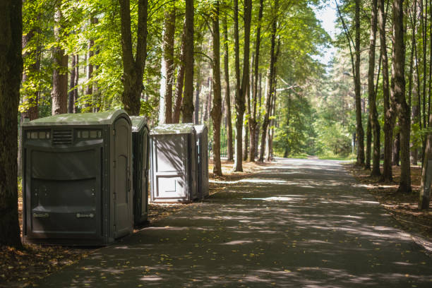 Portable Toilet Options We Offer in Emmetsburg, IA